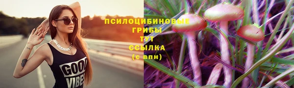 прущая мука Абдулино