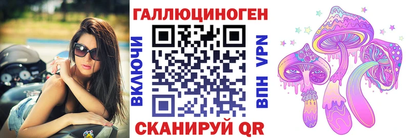 закладки Елизаветинская Галлюциногенные грибы GOLDEN TEACHER
